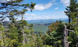 Catskill 3500 Bushwhack Series – Friday and Balsam Cap Mountains – Saturday June 2, 2018